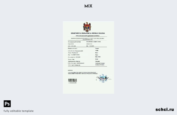 скачать цифровой шаблон разрешения на работу в Молдове